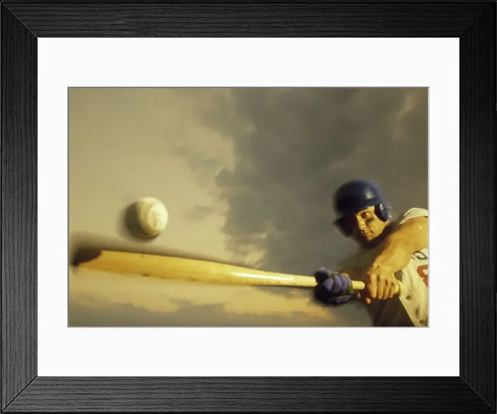 Framed Print : 1099, 1099-5411A Framed Print : 1099, 1099-5411A