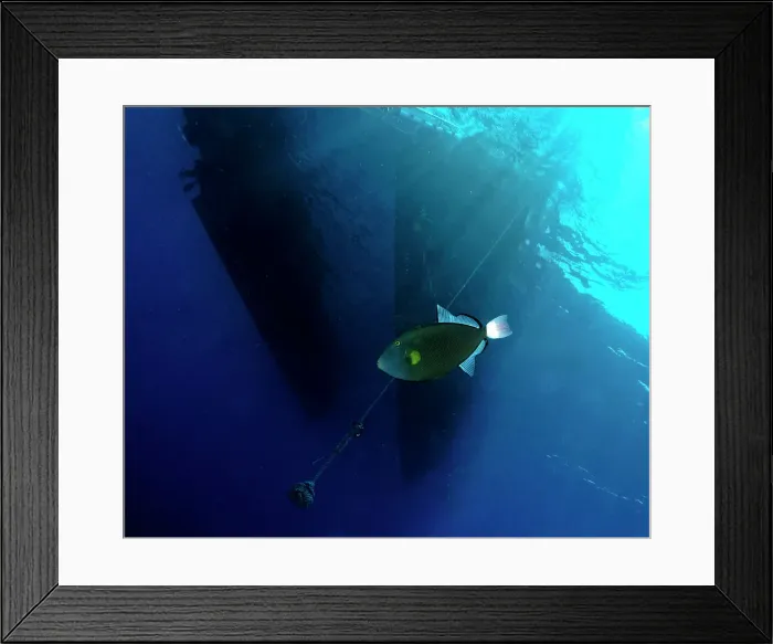 Framed Print : Fish near a boat under water in the ocean Framed Print : Fish near a boat under water in the ocean