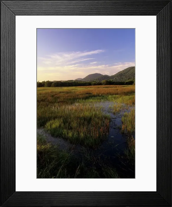 Framed Print : lake Bhangazi. Greater St Lucia Wetland Park Framed Print : lake Bhangazi. Greater St Lucia Wetland Park