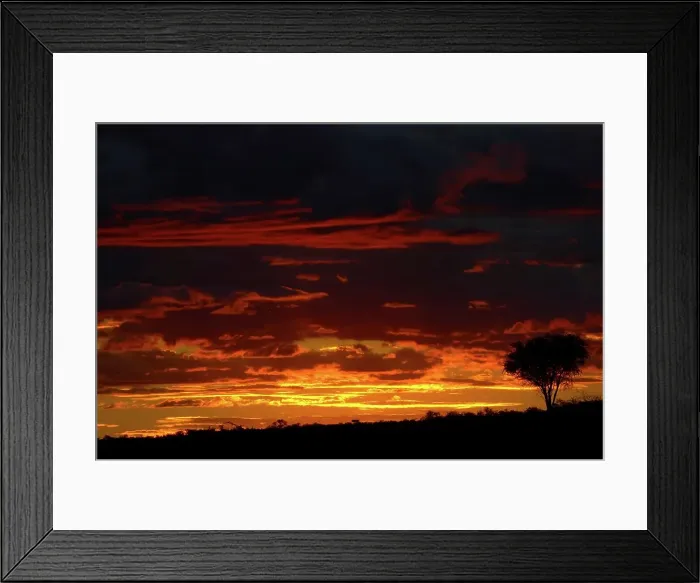 Framed Print : Sunset over bushveld. Northern Tuli Game Reserve Framed Print : Sunset over bushveld. Northern Tuli Game Reserve