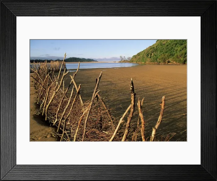 Framed Print : Fish traps at Kosi Bay, KwaZulu-Natal Framed Print : Fish traps at Kosi Bay, KwaZulu-Natal