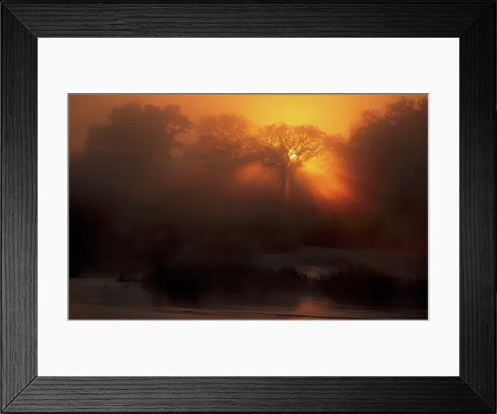 Framed Print : Sunrise through mist on the Sand River