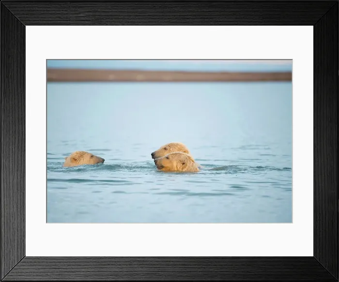 Framed Print : 4340, 4340-2598 Framed Print : 4340, 4340-2598