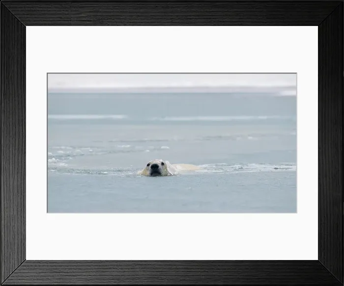 Framed Print : 4340, 4340-2322 Framed Print : 4340, 4340-2322