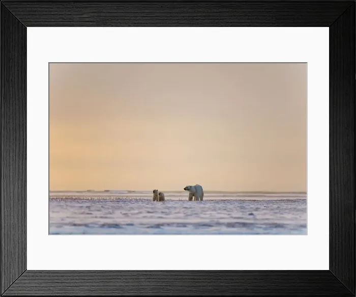 Framed Print : 4340, 4340-2327 Framed Print : 4340, 4340-2327