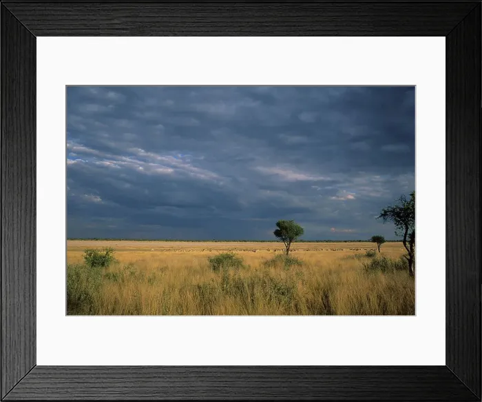 Framed Print : Moreswa Pan campsite, Khutse Game Reserve Framed Print : Moreswa Pan campsite, Khutse Game Reserve