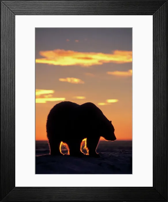 Framed Print : 4340, 4340-660