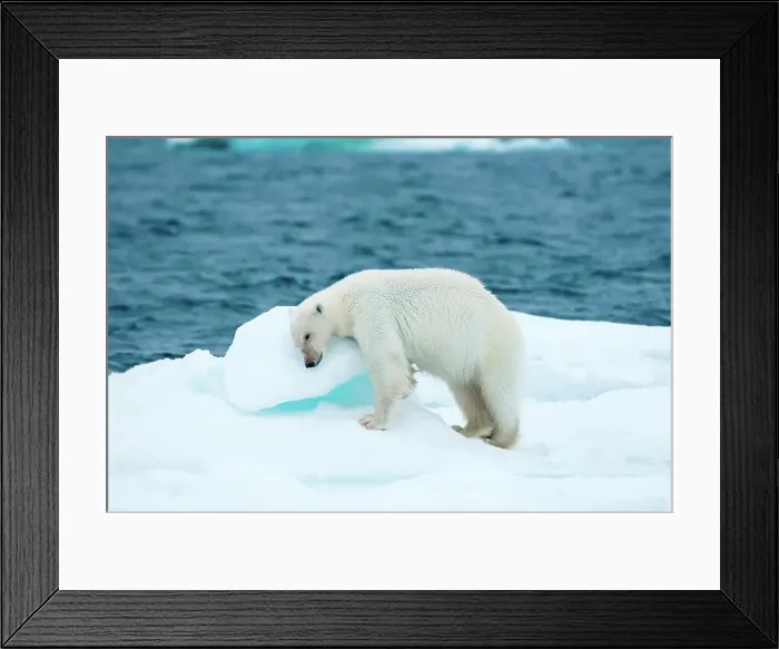 Framed Print : 4340, 4340-2757 Framed Print : 4340, 4340-2757
