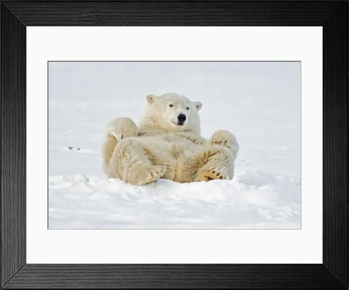 Framed Print : 4340, 4340-2347