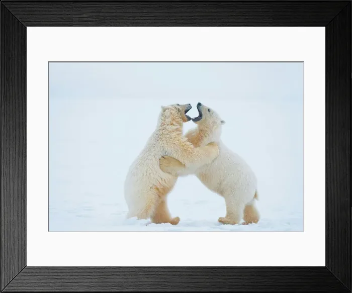 Framed Print : 4340, 4340-2685 Framed Print : 4340, 4340-2685
