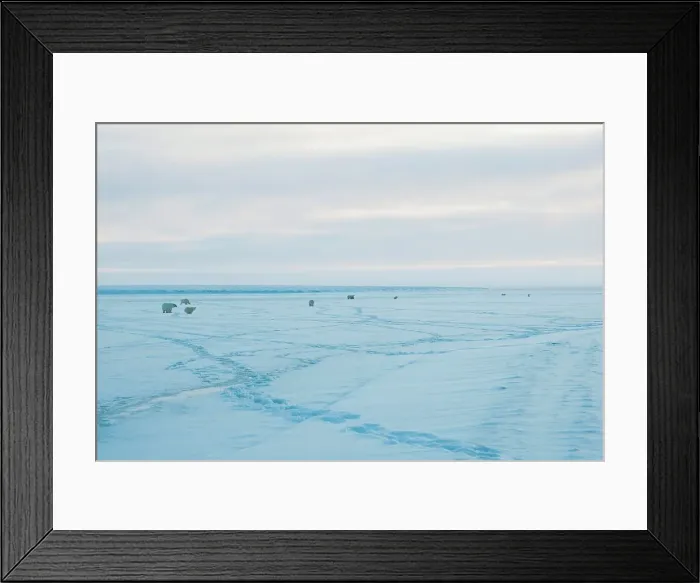 Framed Print : 4340, 4340-2712 Framed Print : 4340, 4340-2712