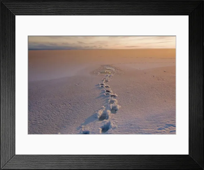 Framed Print : 4340, 4340-1503 Framed Print : 4340, 4340-1503