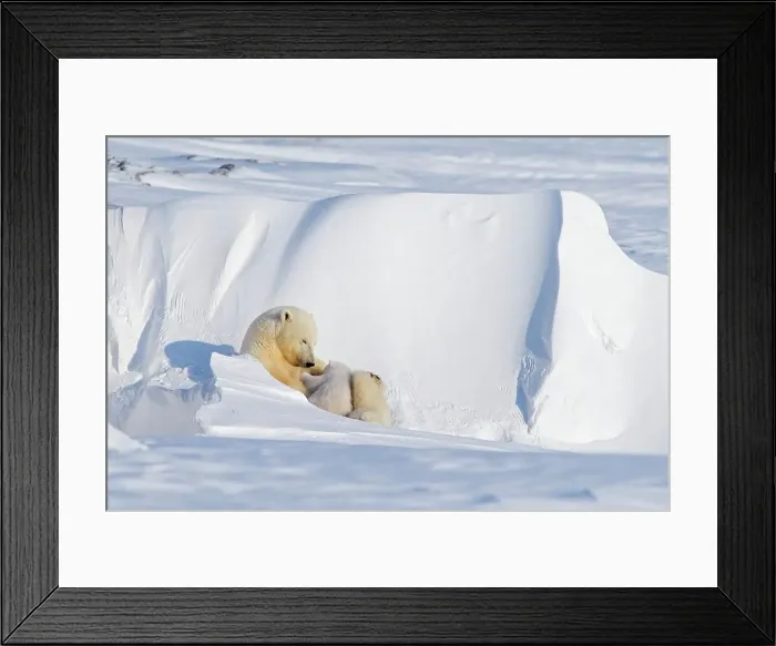 Framed Print : 4340, 4340-1600 Framed Print : 4340, 4340-1600