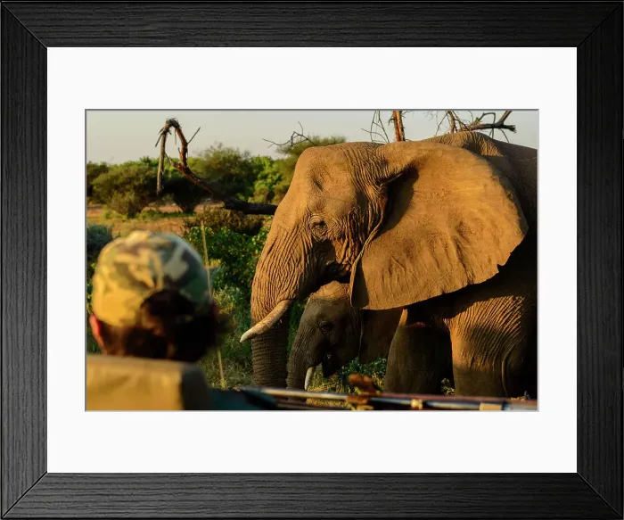 Framed Print : Mashatu Game Reserve Framed Print : Mashatu Game Reserve
