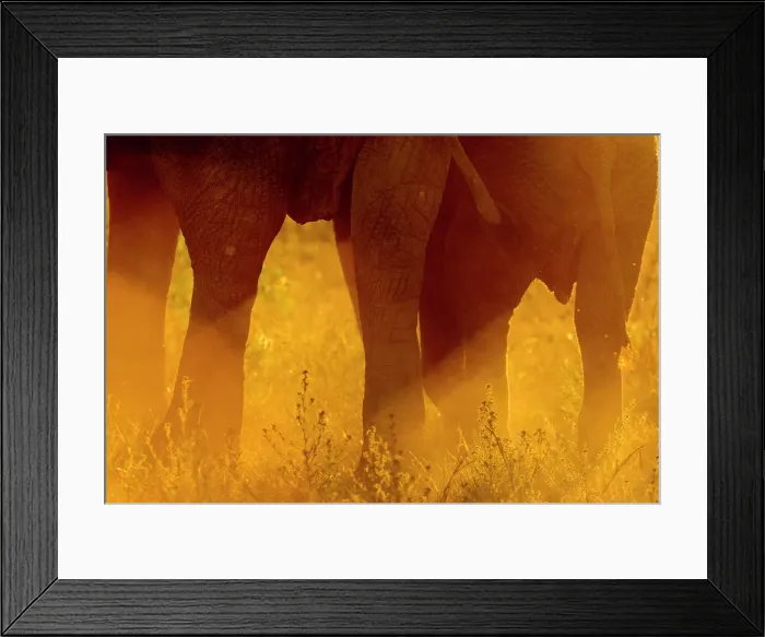 Framed Print : Mashatu Game Reserve