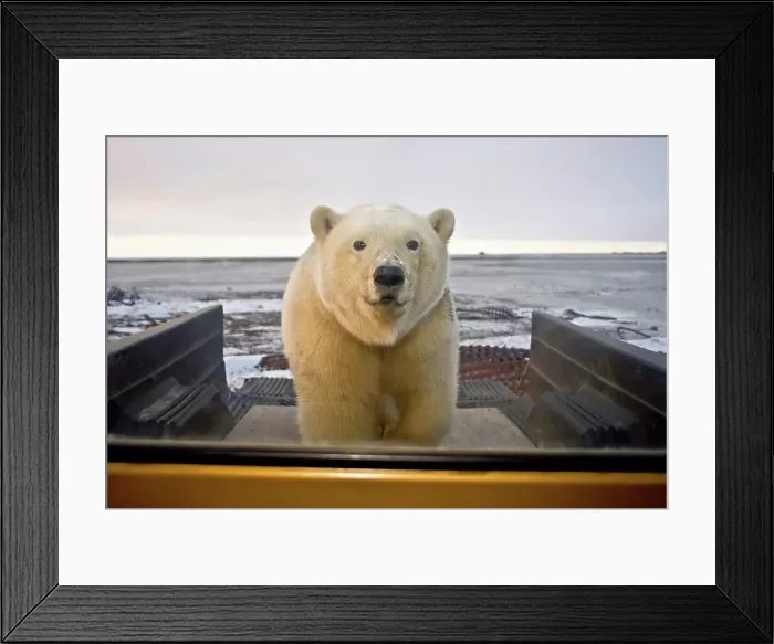Framed Print : 4340, 4340-538 Framed Print : 4340, 4340-538