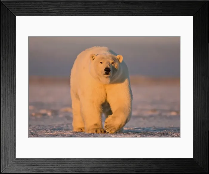 Framed Print : 4340, 4340-547