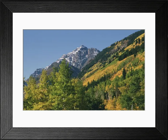 Framed Print : Forest and mountainous landscape Framed Print : Forest and mountainous landscape
