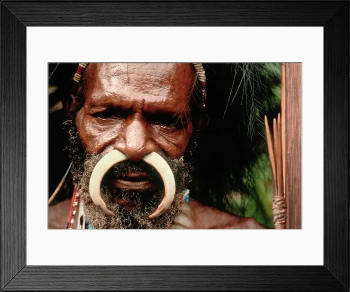 Framed Print : Portrait of an indigenous man with a curved bone in his nose piercing Framed Print : Portrait of an indigenous man with a curved bone in his nose piercing