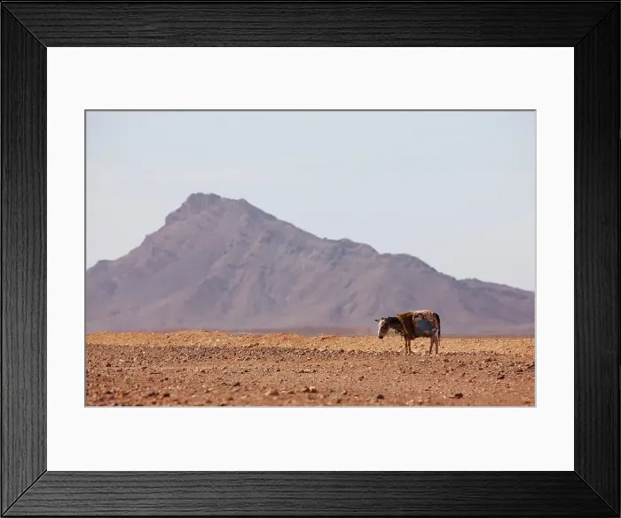 Framed Print : 4316, 4316-5138 Framed Print : 4316, 4316-5138