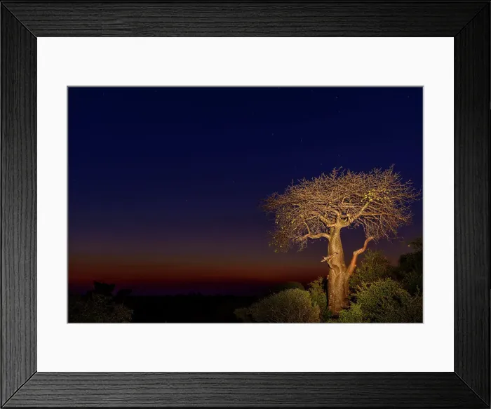Framed Print : Mashatu Game Reserve