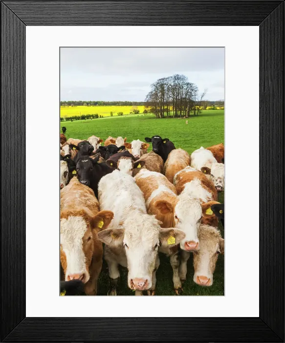 Framed Print : England, Cotswolds, Worcestershire Framed Print : England, Cotswolds, Worcestershire