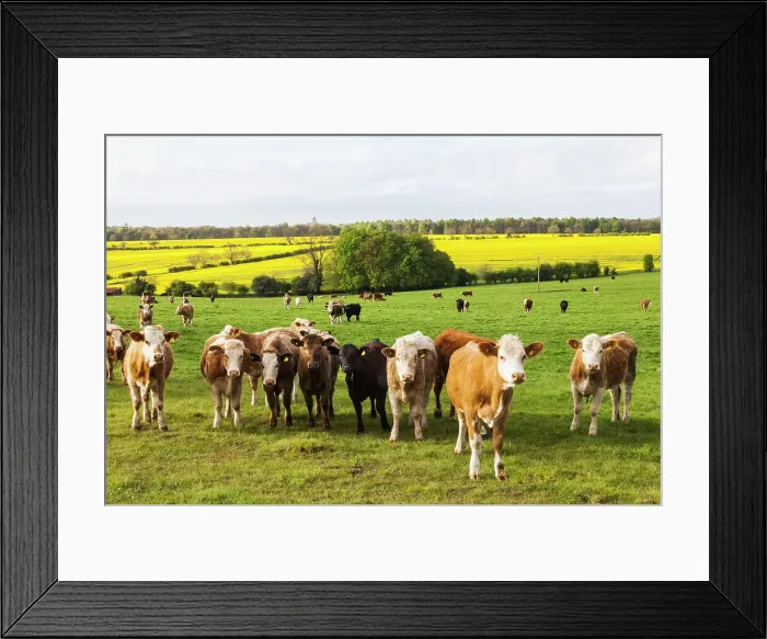 Framed Print : England, Cotswolds, Worcestershire
