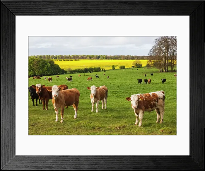 Framed Print : England, Cotswolds, Worcestershire Framed Print : England, Cotswolds, Worcestershire