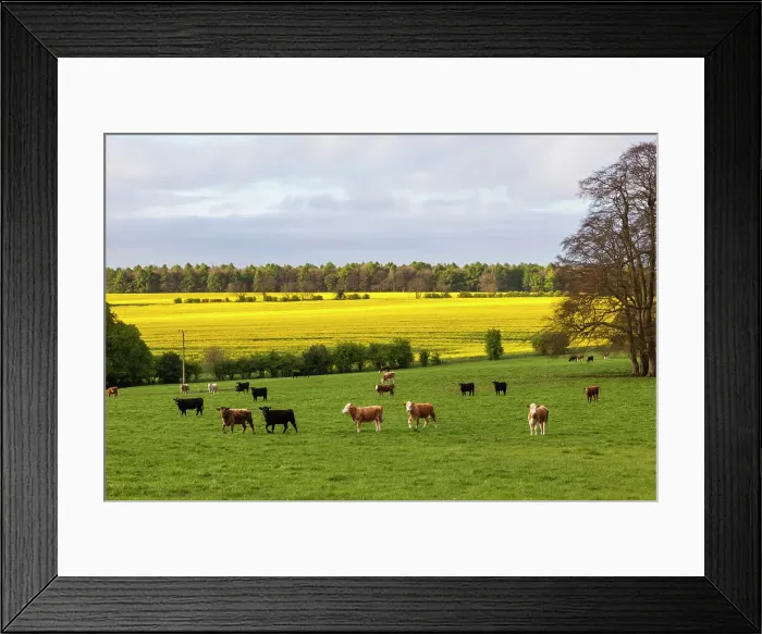 Framed Print : England, Cotswolds, Worcestershire Framed Print : England, Cotswolds, Worcestershire