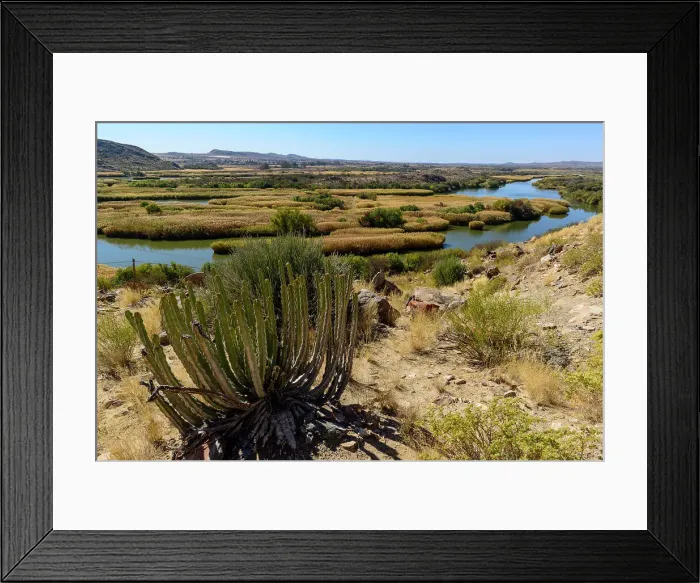 Framed Print : Euphorbia sp andOrange River scene between Kakamaz and Keimoes Framed Print : Euphorbia sp andOrange River scene between Kakamaz and Keimoes