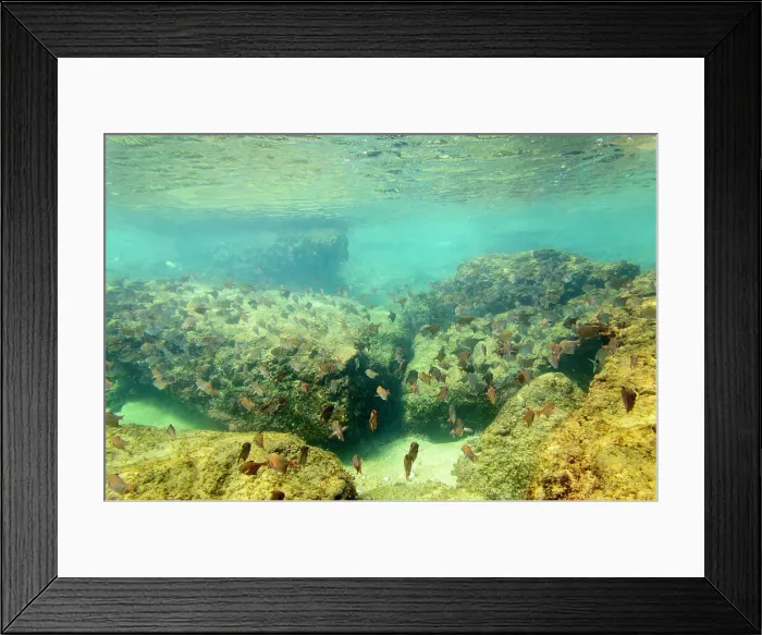 Framed Print : Mabibi. Maputaland. KwaZulu Natal. South Africa