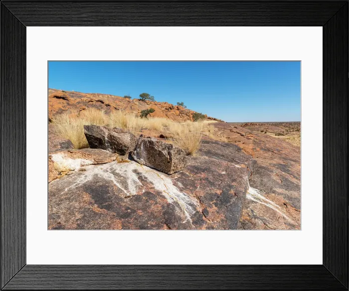 Framed Print : Rock Hyrax (Procavia capensis) midden Framed Print : Rock Hyrax (Procavia capensis) midden