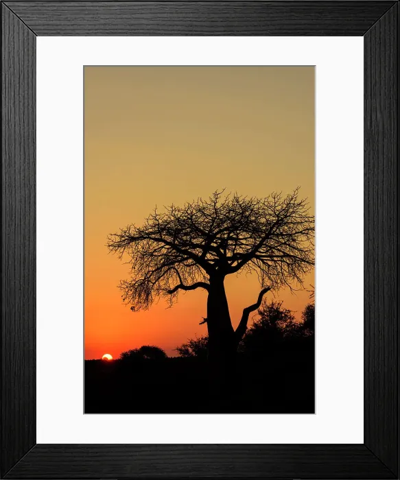 Framed Print : Mashatu Game Reserve Framed Print : Mashatu Game Reserve
