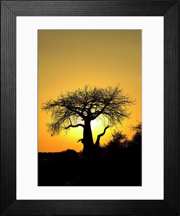 Framed Print : Mashatu Game Reserve Framed Print : Mashatu Game Reserve