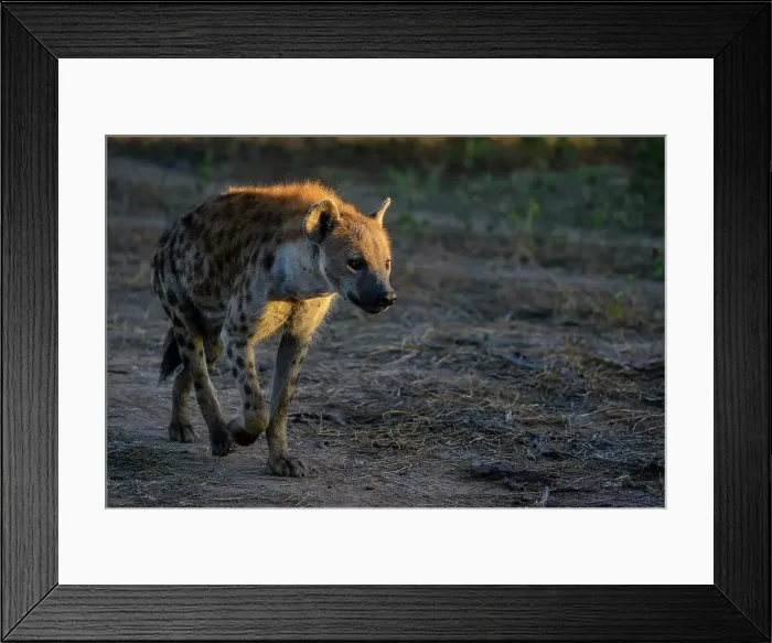 Framed Print : Mashatu Game Reserve Framed Print : Mashatu Game Reserve