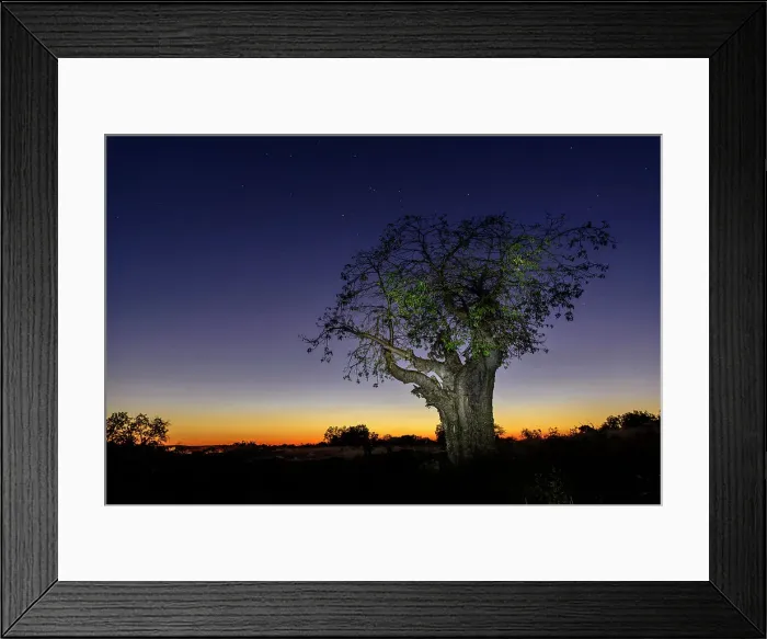 Framed Print : Mashatu Game Reserve Framed Print : Mashatu Game Reserve