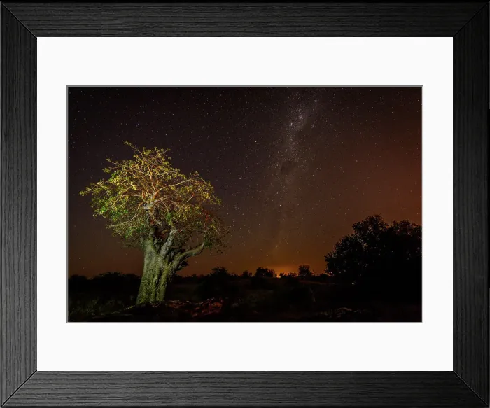 Framed Print : Mashatu Game Reserve Framed Print : Mashatu Game Reserve