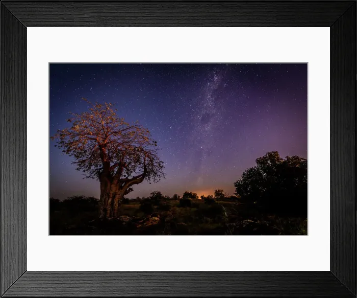 Framed Print : Mashatu Game Reserve Framed Print : Mashatu Game Reserve