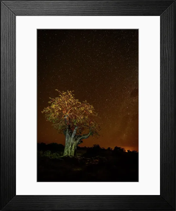 Framed Print : Mashatu Game Reserve Framed Print : Mashatu Game Reserve