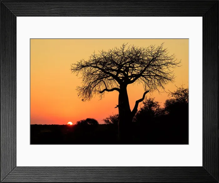 Framed Print : Mashatu Game Reserve Framed Print : Mashatu Game Reserve