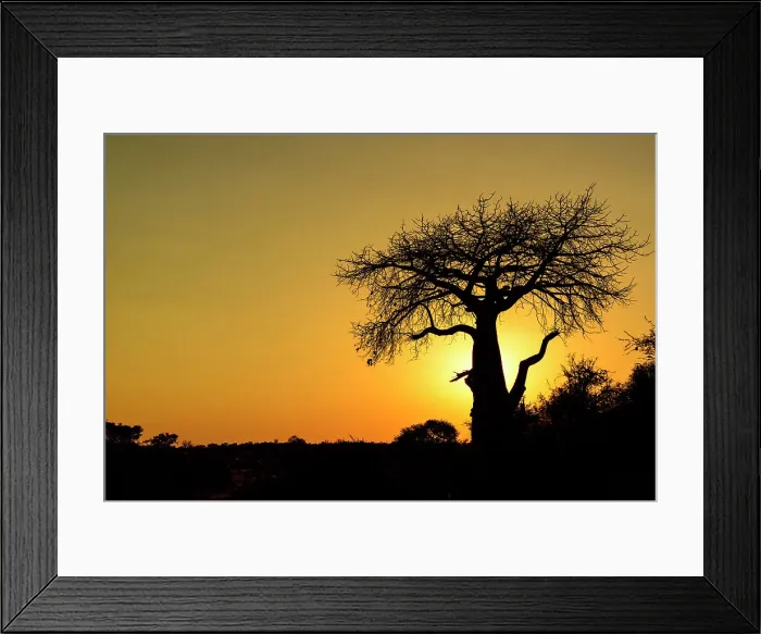 Framed Print : Mashatu Game Reserve Framed Print : Mashatu Game Reserve