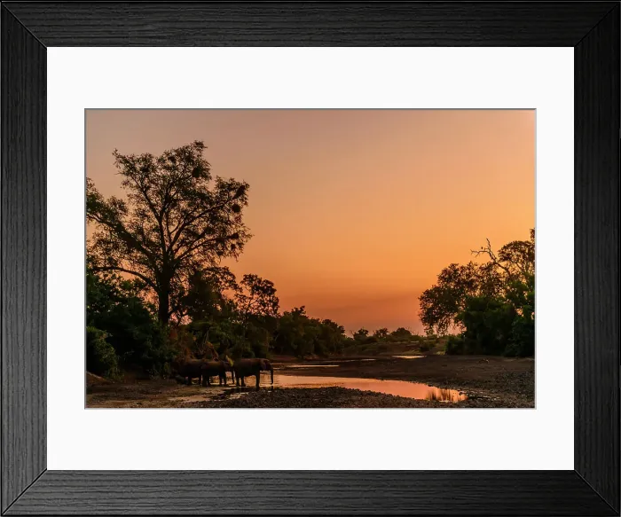 Framed Print : Mashatu Game Reserve Framed Print : Mashatu Game Reserve