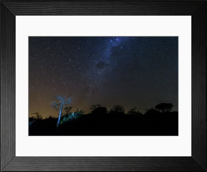 Framed Print : Mashatu Game Reserve Framed Print : Mashatu Game Reserve