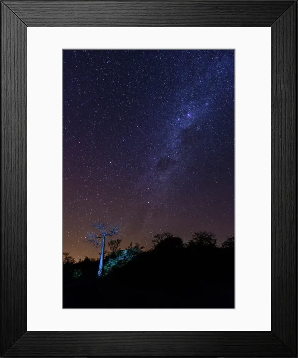 Framed Print : Mashatu Game Reserve Framed Print : Mashatu Game Reserve