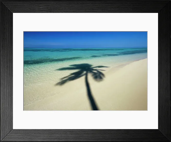 Framed Print : Tropical Beach Framed Print : Tropical Beach