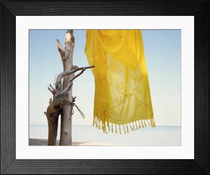 Framed Print : Tropical Beach