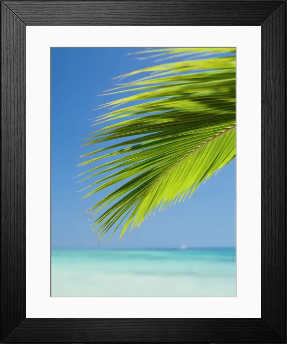 Framed Print : Tropical Ocean Framed Print : Tropical Ocean