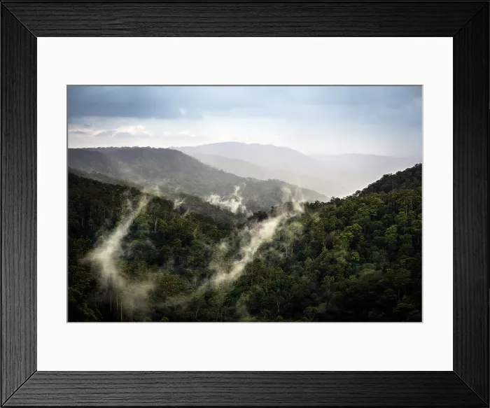 Framed Print : Mist rising from Trees Framed Print : Mist rising from Trees