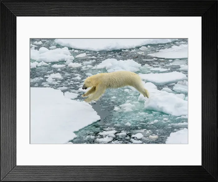 Framed Print : Adventure Travel Arctic Arctic Ocean Climate Change Framed Print : Adventure Travel Arctic Arctic Ocean Climate Change
