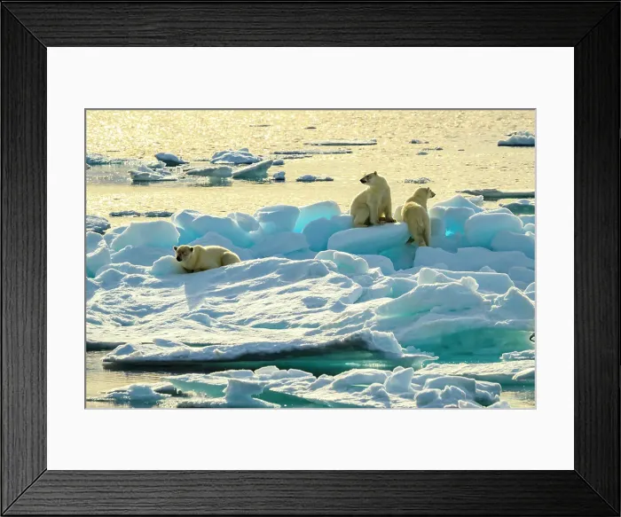 Framed Print : Adventure Travel Arctic Arctic Ocean Climate Change